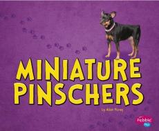 Miniature Pinschers di Allan Morey edito da CAPSTONE PR