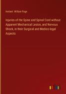 Injuries of the Spine and Spinal Cord without Apparent Mechanical Lesion, and Nervous Shock, in their Surgical and Medico-legal Aspects di Herbert William Page edito da Outlook Verlag