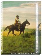 Richard Prince: Cowboy di ,Robert,M. Rubin edito da Prestel