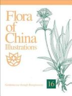 Flora of China Illustrations, Volume 16: Gentianaceae Through Boraginaceae di Zhengyi Wu, Peter H. Raven, Guanghua Zhu edito da MISSOURI BOTANICAL GARDEN PR