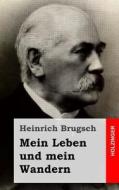 Mein Leben Und Mein Wandern di Heinrich Brugsch edito da Createspace