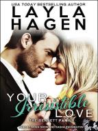 Your Irresistible Love di Layla Hagen edito da Tantor Audio