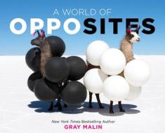 A World of Opposites di Gray Malin edito da ABRAMS APPLESEED