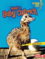 Meet a Baby Ostrich di Marie Powell edito da Lerner Publications
