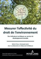 Mesurer L'Effectivite Du Droit De L'Environnement di Michel Prieur, Christophe Bastin, Ali Mekouar edito da PIE - Peter Lang