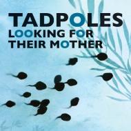 Tadpoles Looking for Their Mother di Shanghai Animation And Film Studio, Sanmu Tang edito da SHANGHAI BOOKS