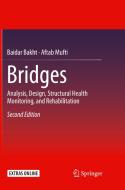 Bridges di Baidar Bakht, Aftab Mufti edito da Springer-Verlag GmbH