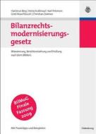 Bilanzrechtsmodernisierungsgesetz di Hartmut Bieg, Heinz Kußmaul, Karl Petersen, Gerd Waschbusch, Christian Zwirner edito da Gruyter, de Oldenbourg