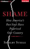 Shame: How America's Past Sins Have Polarized Our Country di Shelby Steele edito da Brilliance Audio