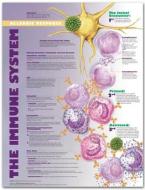 The Immune System: Allergic Response Anatomical Chart edito da Anatomical Chart Co.