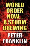 World Order Now...a Storm Brewing di Peter Franklin edito da America Star Books