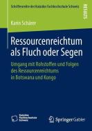 Ressourcenreichtum als Fluch oder Segen di Karin Schärer edito da Springer Fachmedien Wiesbaden