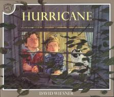 Hurricane di David Wiesner edito da CLARION BOOKS