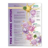 The Immune System: Allergic Response Anatomical Chart di Anatomical Chart Company, Acc edito da Anatomical Chart Co.