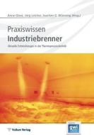 Praxiswissen Industriebrenner edito da Vulkan Verlag