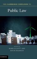 The Cambridge Companion to Public Law edito da Cambridge University Press