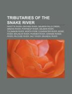 Tributaries Of The Snake River: Payette di Books Llc edito da Books LLC, Wiki Series