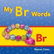 My Br Words (More Consonants, Blends, and Digraphs) di Sharon Coan edito da SHELL EDUC PUB