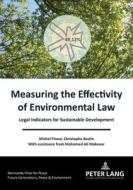 Measuring The Effectivity Of Environmental Law di Michel Prieur, Christophe Bastin edito da PIE - Peter Lang