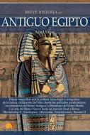 Breve historia del antiguo Egipto di Azael Varas Mazagatos edito da Ediciones Nowtilus