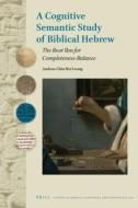 A Cognitive Semantic Study of Biblical Hebrew: The Root Slm for Completeness-Balance di Andrew Chin Hei Leong edito da BRILL ACADEMIC PUB
