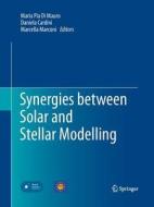 Synergies between Solar and Stellar Modelling edito da Springer Netherlands