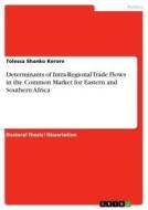 Determinants of Intra-Regional Trade Flows in the Common Market for Eastern and Southern Africa di Tolessa Shanko Kerore edito da GRIN Verlag
