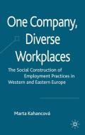 One Company, Diverse Workplaces: The Social Construction of Employment Practices in Western and Eastern Europe di M. Kahancova edito da SPRINGER NATURE