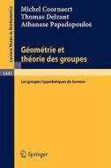 Geometrie et theorie des groupes di Michel Coornaert, Thomas Delzant, Athanase Papadopoulos edito da Springer Berlin Heidelberg