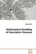 Mathematical Modelling of Granulation Processes di Patrick Rynhart edito da VDM Verlag