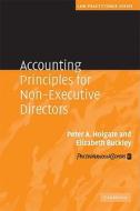 Accounting Principles for Non-Executive Directors di Peter Holgate edito da Cambridge University Press
