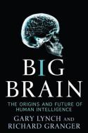 Big Brain: The Origins and Future of Human Intelligence di Gary Lynch, Richard Granger edito da PALGRAVE TRADE