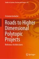 Roads to Higher Dimensional Polytopic Projects di Octavian Iordache edito da Springer International Publishing
