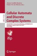 Cellular Automata and Discrete Complex Systems edito da Springer International Publishing
