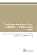 Strategiepromotoren kleiner und mittlerer Unternehmen (KMU) di Anja Schulz edito da Südwestdeutscher Verlag für Hochschulschriften AG  Co. KG