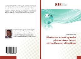 Résolution numérique des phénomènes liés au réchauffement climatique di Bocar Amadou Wane edito da Editions universitaires europeennes EUE