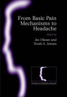 From Basic Pain Mechanisms to Headache di Jes Olesen edito da OXFORD UNIV PR