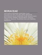 Moraceae: Moraceae, Antiaris Toxicaria, di Books Llc edito da Books LLC, Wiki Series