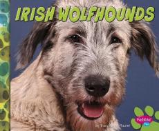 Irish Wolfhounds di Allan Morey edito da CAPSTONE PR