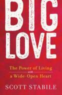 Big Love di Scott Stabile edito da New World Library