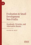 Evaluation In Small Development Non-Profits di Leanne M. Kelly edito da Springer Nature Switzerland AG