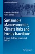 Sustainable Macroeconomics, Climate Risks and Energy Transitions di Willi Semmler, Unurjargal Nyambuu edito da Springer International Publishing