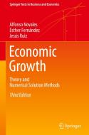 Economic Growth di Alfonso Novales, Jesús Ruiz, Esther Fernández edito da Springer Berlin Heidelberg