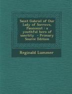 Saint Gabriel of Our Lady of Sorrows, Passionist: A Youthful Hero of Sanctity di Reginald Lummer edito da Nabu Press