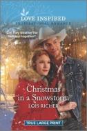 Christmas in a Snowstorm di Lois Richer edito da HARLEQUIN SALES CORP