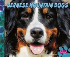 Bernese Mountain Dogs di Allan Morey edito da CAPSTONE PR