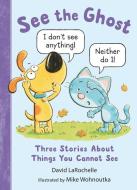 See the Ghost: Three Stories about Things You Cannot See di David Larochelle edito da CANDLEWICK BOOKS