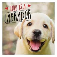 Love is a Labrador di Charlie Ellis edito da Summersdale Publishers