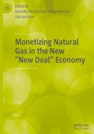 Monetizing Natural Gas in the New "New Deal" Economy edito da Springer International Publishing