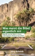 Was meint die Bibel eigentlich mit ... di Jörg Schwab edito da novum pro